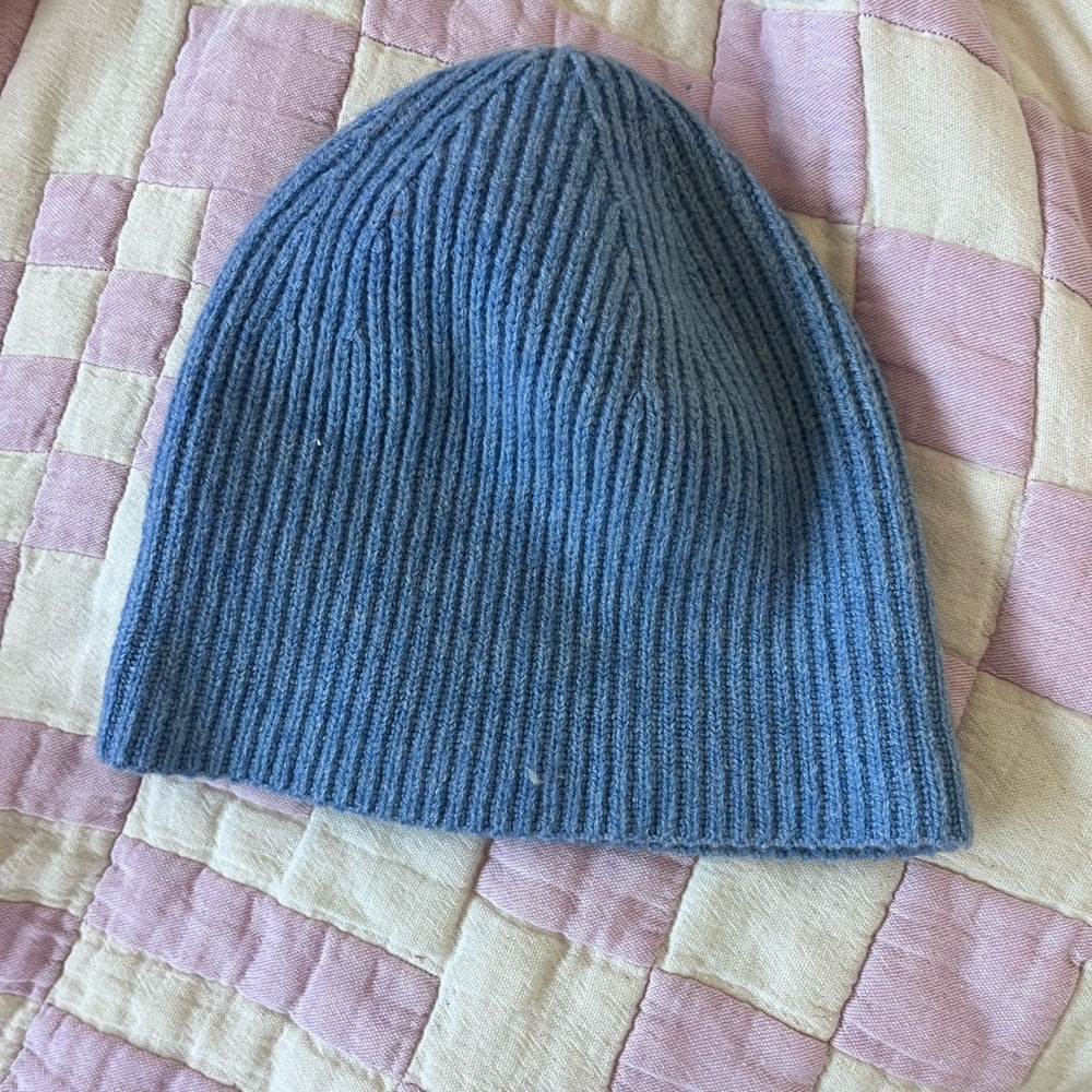 Everlane ribbed beanie
